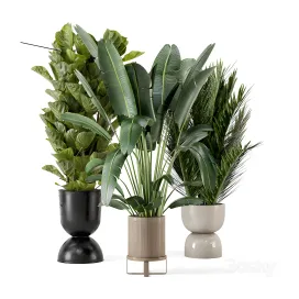 Indoor plants in ferm living bau pot large